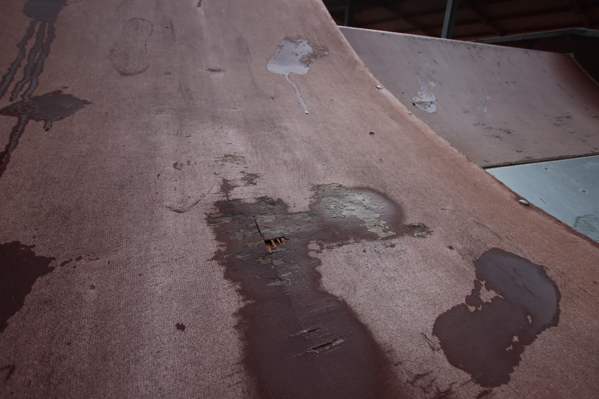 skatepark-sanierung.de Holz
